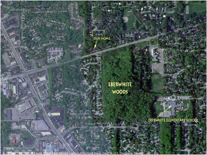 Eberwhite Woods