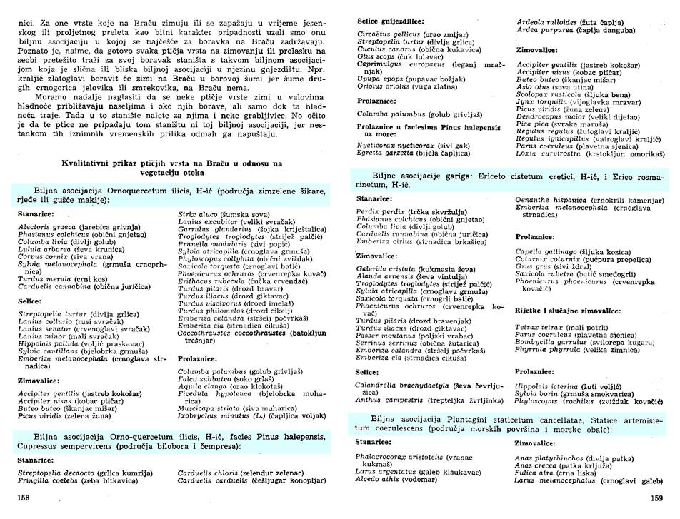ornitofauna otoka Braca
