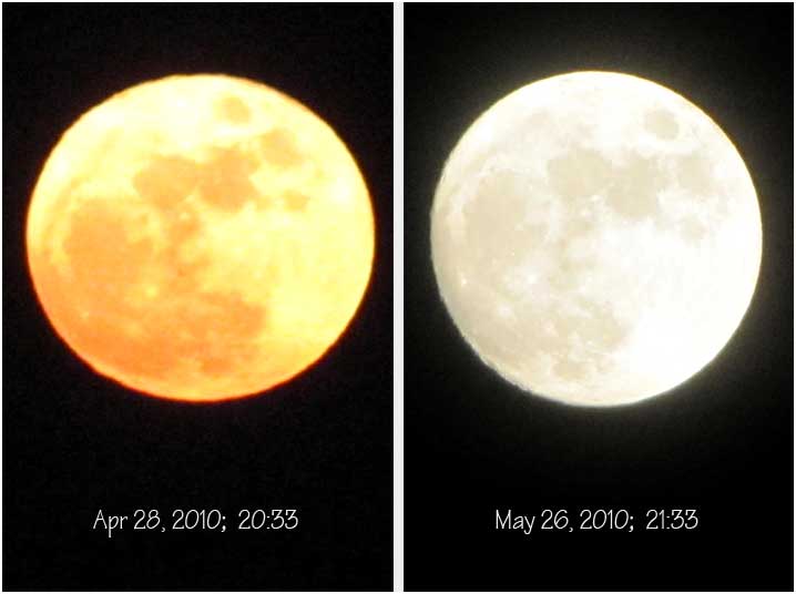 Moon face
