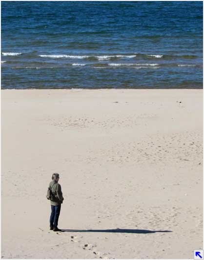 the beaches of the Michigan west coast