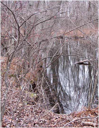 Washtenaw County natural preserve