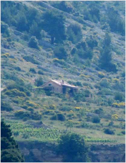 wilderness around our pojata