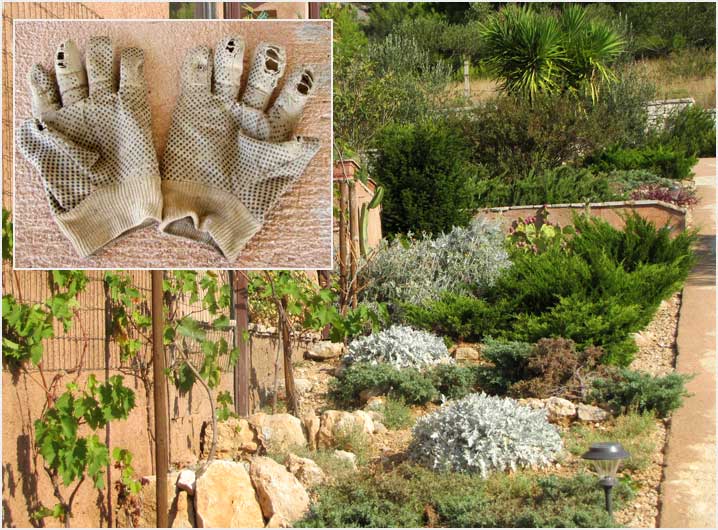 gardening gloves : third pair this summer