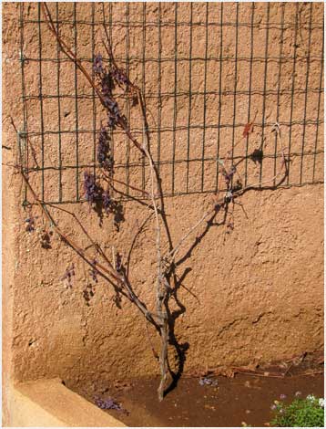 life persisting