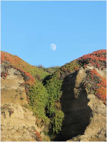 midday moon at Half Moon Bay