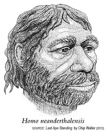 Neanderthal