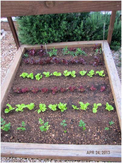 why do we garden