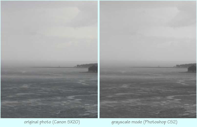 color vs grayscale